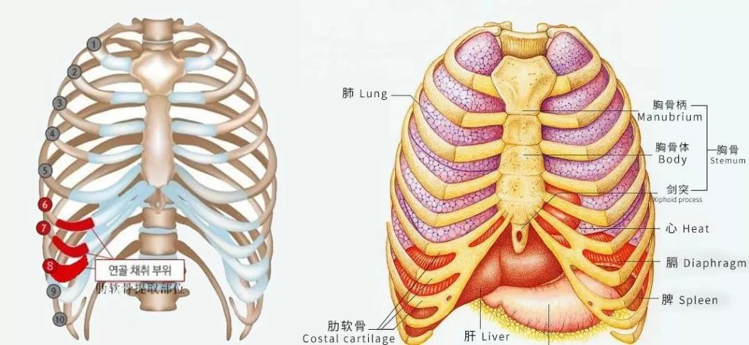 肋软骨手术失败后，我的耳朵还有救吗？